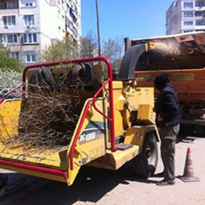 София събира зелените отпадъци за биотор