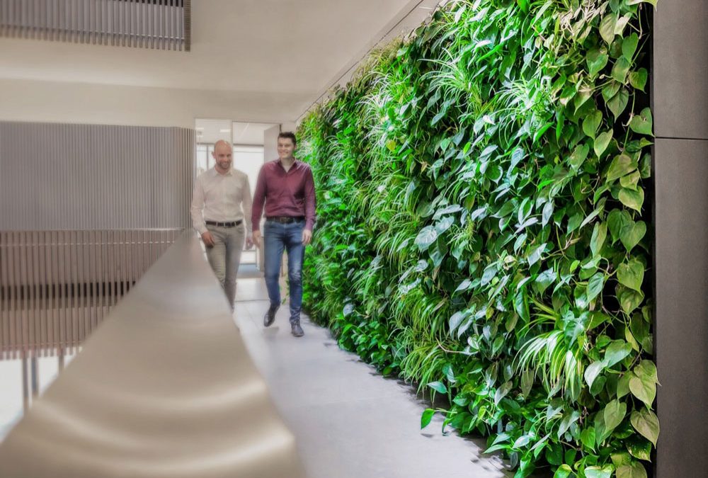 Биологична климатизация на сгради