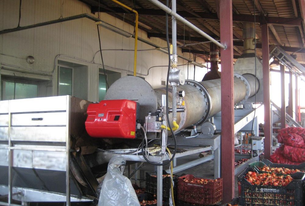 Горелките Riello и консервирането на плодове и зеленчуци