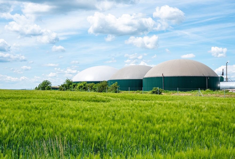 Краткосрочно разширяване на производството на биогаз