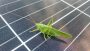 solar