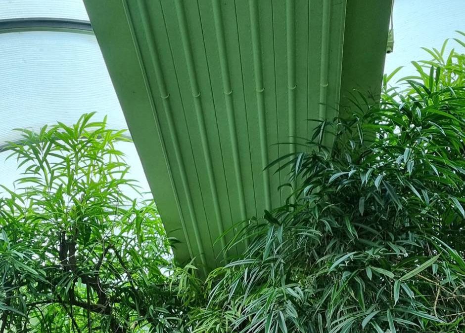 Пражкият зоопарк реновира къщата за гавиали с лъчисти таванни панели