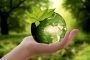 bioenergy