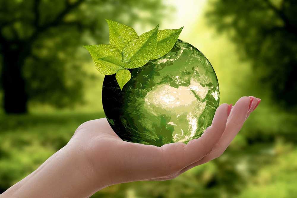 bioenergy