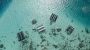 FloatingPVcoral-